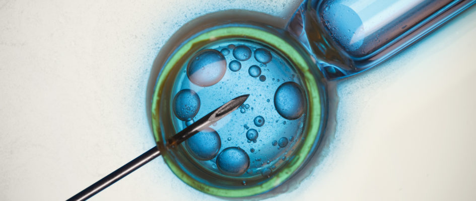 In Vitro Fertilisation (IVF) / <br>Intracytoplasmic Sperm Injection (ICSI)